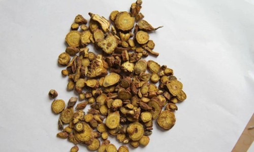 百花花蜜的功效与作用禁忌-百花花蜜的功效与作用-专业百花花粉的功效和作用平台-百花花蜜的功效与作用是什么