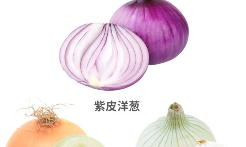 百花蜜的营养价值和功效-百花花蜜的功效与作用-专业百花花粉的功效和作用平台-百花花蜜的功效与作用是什么